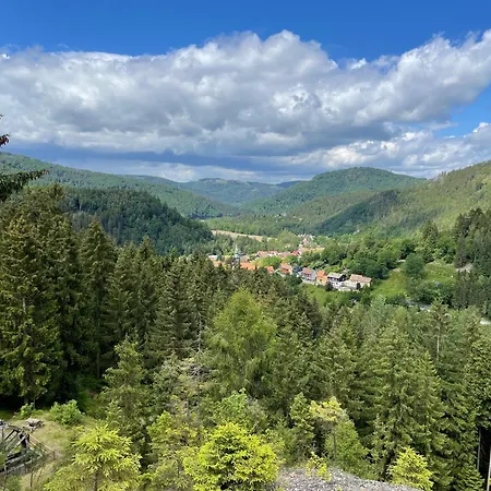 Bergstadt ,modern, Stylisch, Geraeumig Lägenhet Lautenthal