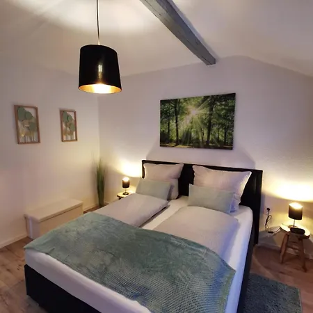 Bergstadt ,modern, Stylisch, Geraeumig * Lautenthal