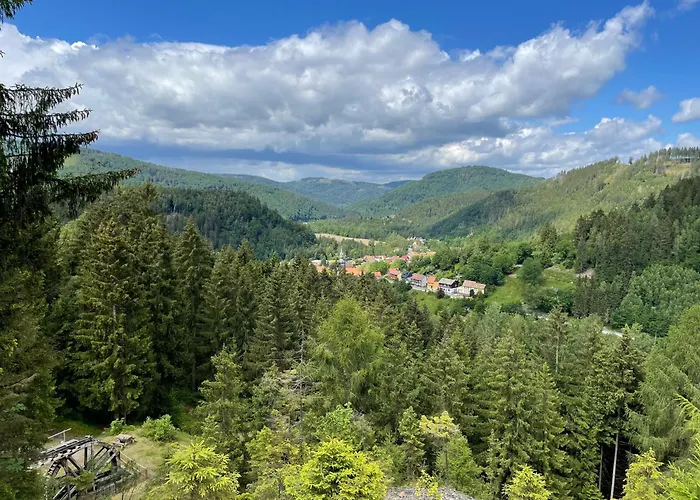 Bergstadt ,modern, Stylisch, Geraeumig Апартаменты Лаутентхаль